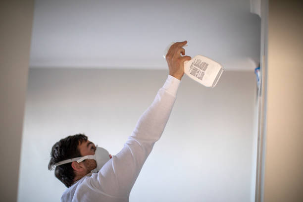 Mold Removal Process in Covington, GA