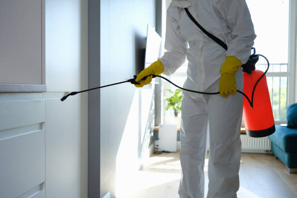 Best Toxic Mold Removal  in Covington, GA
