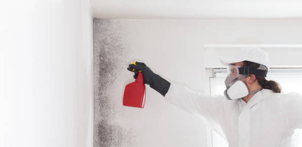 Best Attic Mold Removal  in Covington, GA
