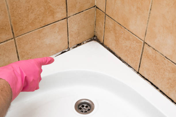 Best Residential Mold Removal  in Covington, GA